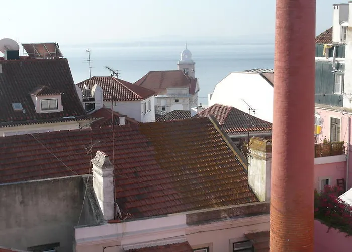 Oliveirinha